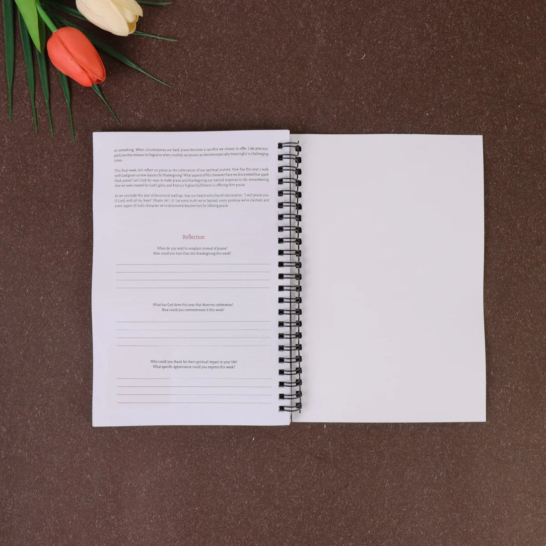 Women'S Bible Study Journal-52-Week Devotional Planner With Daily Scripture Readings, Themed Study & Meditation Spaces